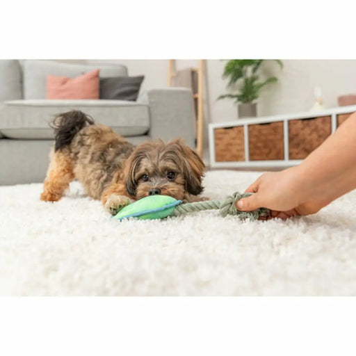 Плюшени Животни за кучета Trixie Син Зелен полиестер 22 cm