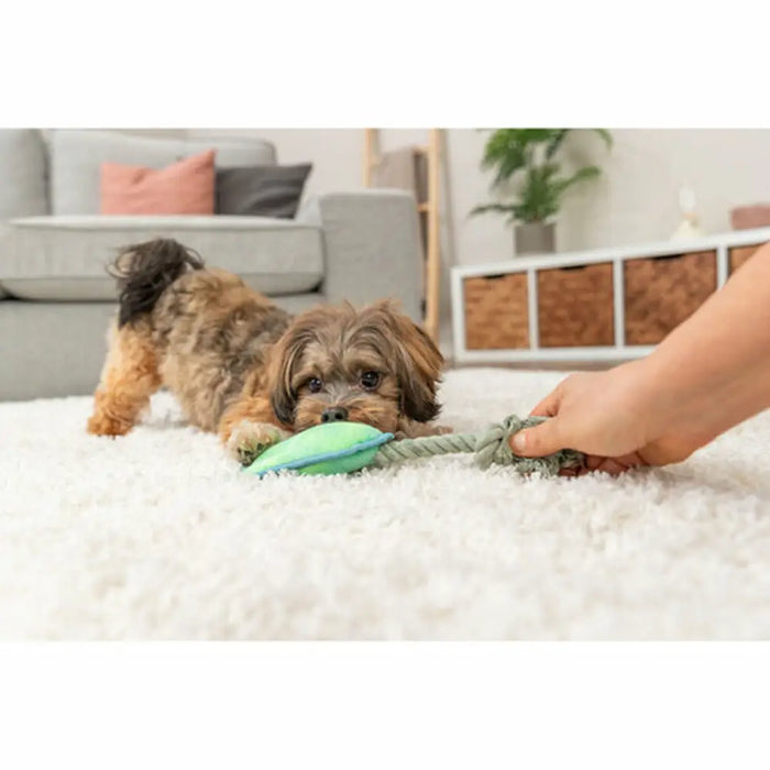 Плюшени Животни за кучета Trixie Син Зелен полиестер 22 cm