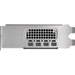 PNY NVIDIA 2000 ADA 16GB LOWPROFILE PCIE 4.0 X16 ДВОЕН СЛОТ