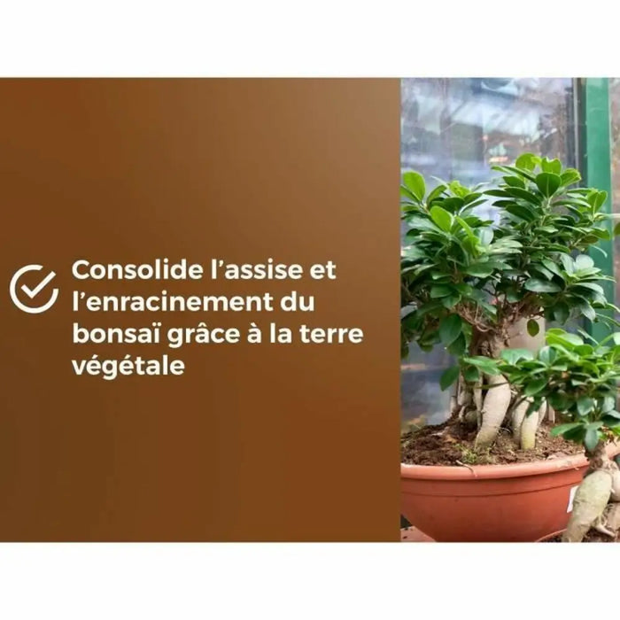 Почва за саксии OR BRUN BROWN GOLD 6 L
