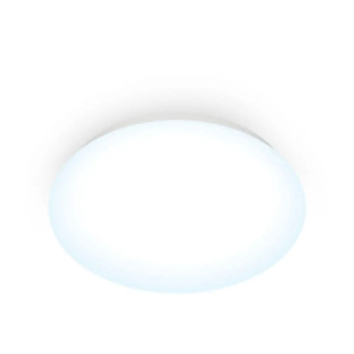 Полилей Wiz Бял