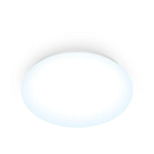 Полилей Wiz Бял