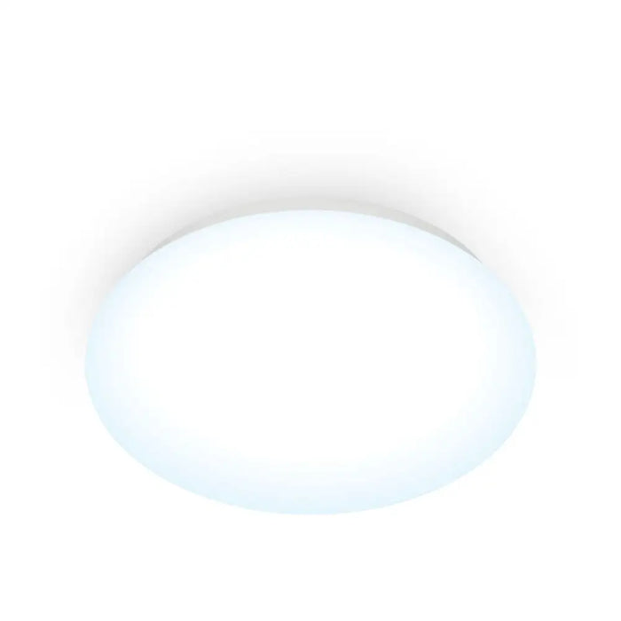 Полилей Wiz Бял