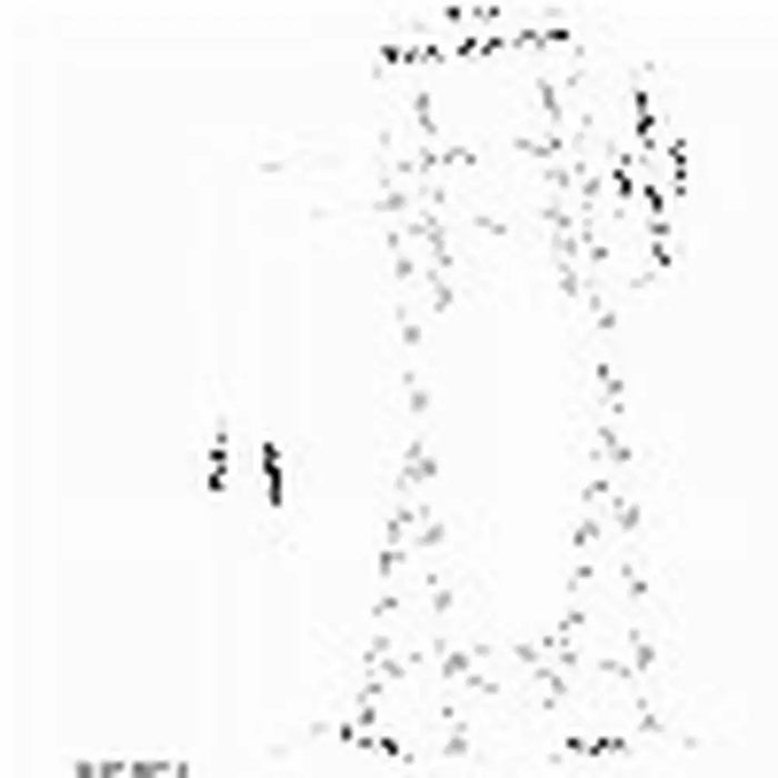 Поставка за телевизор Neomounts PLASMA-M1000 32’’ 55’’ 35 kg