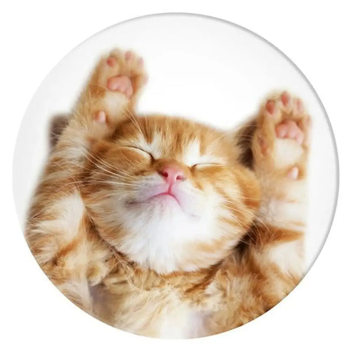 Поставка за котки Popsockets 2 Snoozy и стойка за телефон