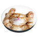 Поставка за котки Popsockets 2 Snoozy и стойка за телефон