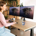 Поставка за монитор R-Go RGOVLZE4TWSI 32’’