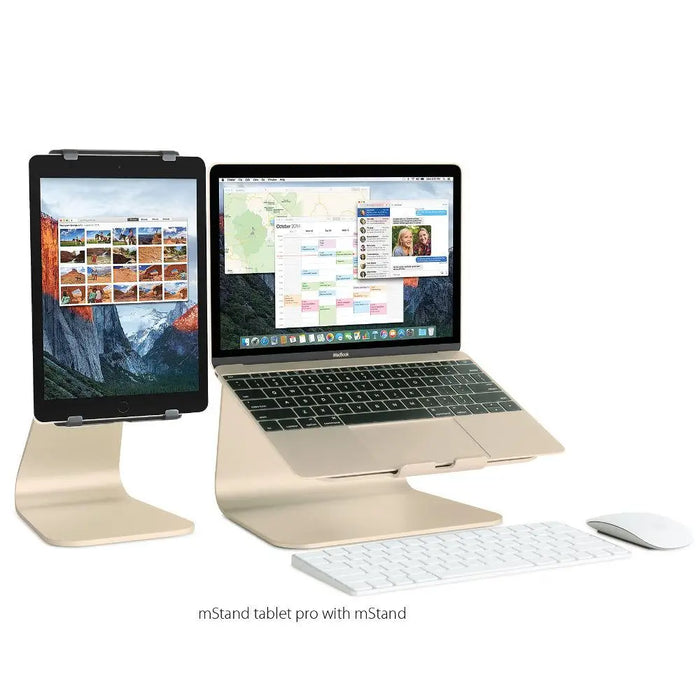 Поставка за таблет Rain Design mStand tablet pro за iPad