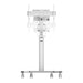 Поставка за телевизор Neomounts FL50S-825WH1 70 Kg