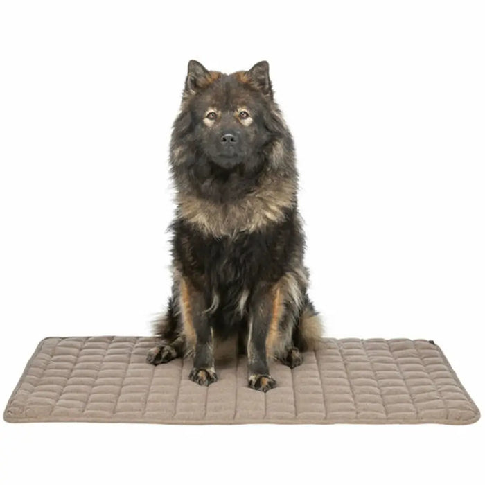 Постелка Trixie Кафяв 100 × 70 CM Куче