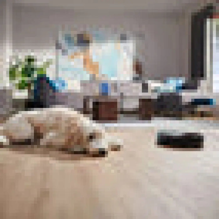 Прахосмукачка робот PHILIPS HOMERUN 7000 SERIES AQUA