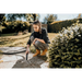 ПРАХОСМУКАЧКА KARCHER WD3 XL
