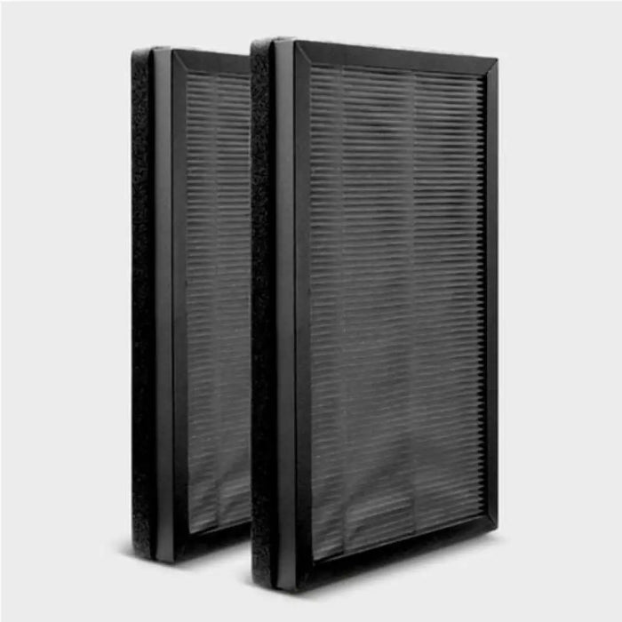 Пречиствател за въздух KARCHER AF20