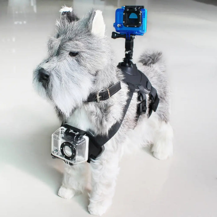 Предпазно Оборудване за Домашни Любимци с Поставка