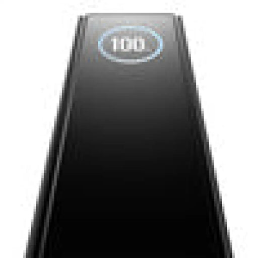 Преносима батерия Powerbank EcoFlow RAPID 25000 mAh 170W