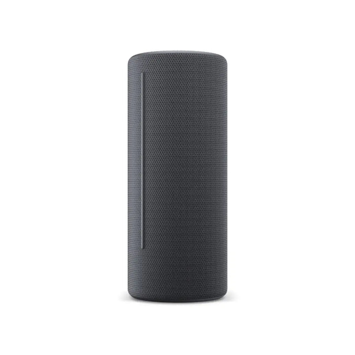Преносима колона Loewe We. HEAR 2 Сив 15 W 60 W