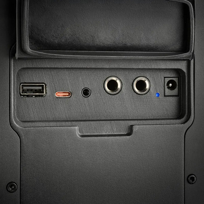 Преносими блутут колони NGS WILDBASH Черен 50 W