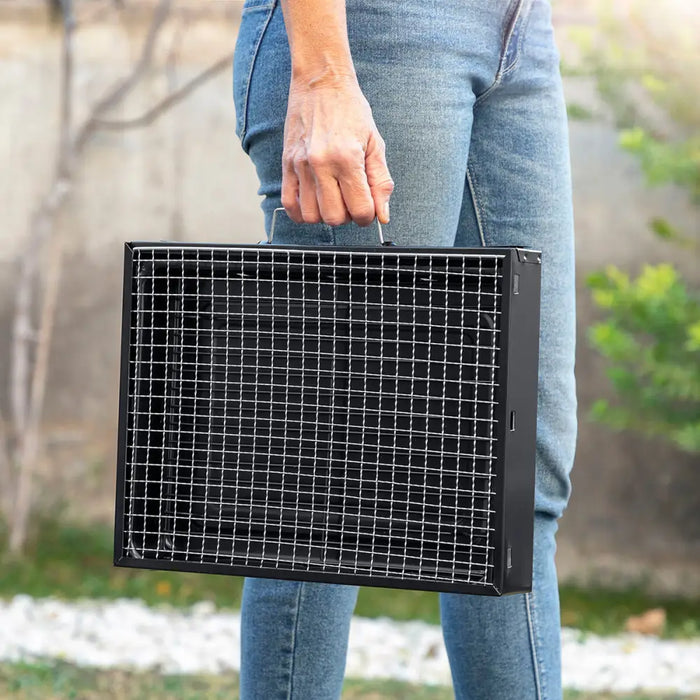 Преносимо Сгъваемо Барбекю за Въглища BearBQ InnovaGoods