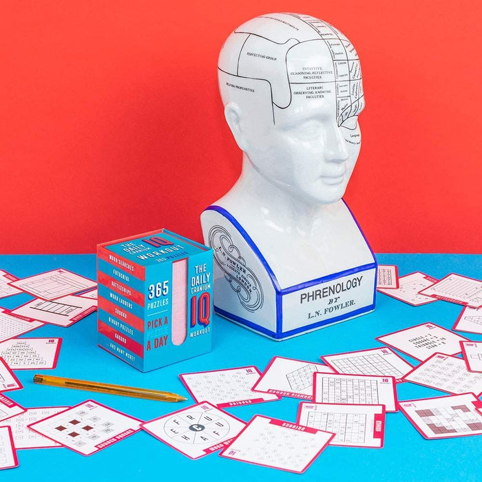 Комплект логически игри Professor Puzzle - IQ WORKOUT