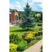 ПРОСТОР ГРАДИНСКИ SEPIO GARDEN 5000