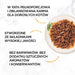 PURINA Gourmet Gold Succulent Delights Beef - мокра храна