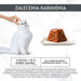 PURINA Gourmet Revelations Chunks в желе със сьомга - мокра
