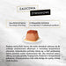 PURINA Gourmet Revelations Salmon - мокра храна за котки