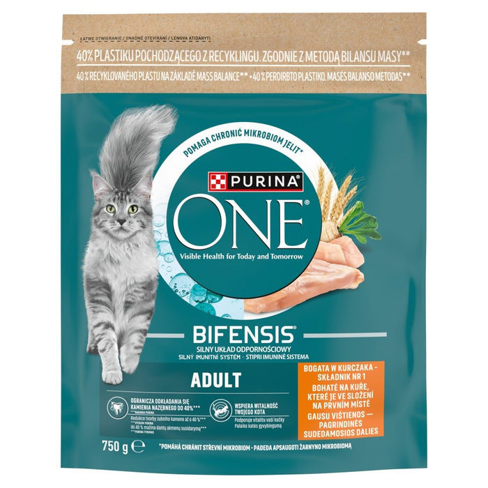 Purina One Mini Active богатство с курчак с риза 750g