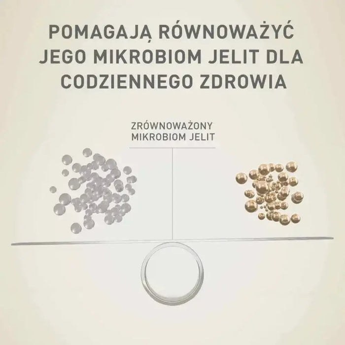 PURINA One Mini/Small Active Beef - мокра храна за кучета