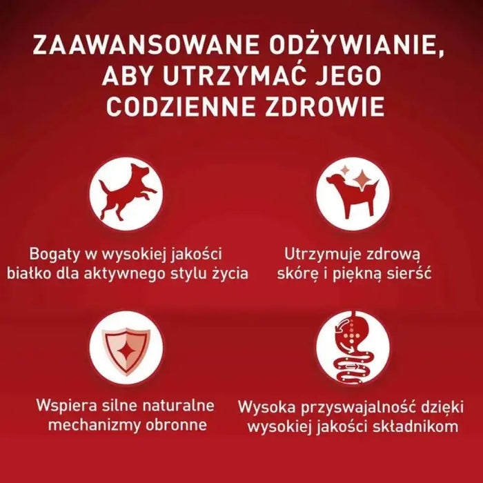 PURINA One Mini/Small Active Beef - мокра храна за кучета
