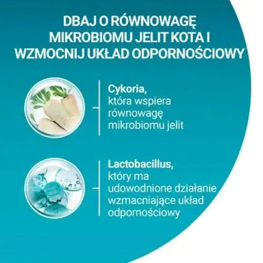 PURINA One Sterilcat Wołowina - суха храна за котки - 9,75
