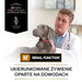 PURINA Pro Plan Veterinary Diets NF Renal Function - Мокра