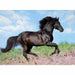 Пъзел Ravensburger 12803 Black Stallion XXL 200 Части