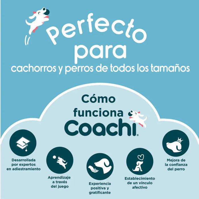 Пътническа Чанта Coachi Train & Treat Син