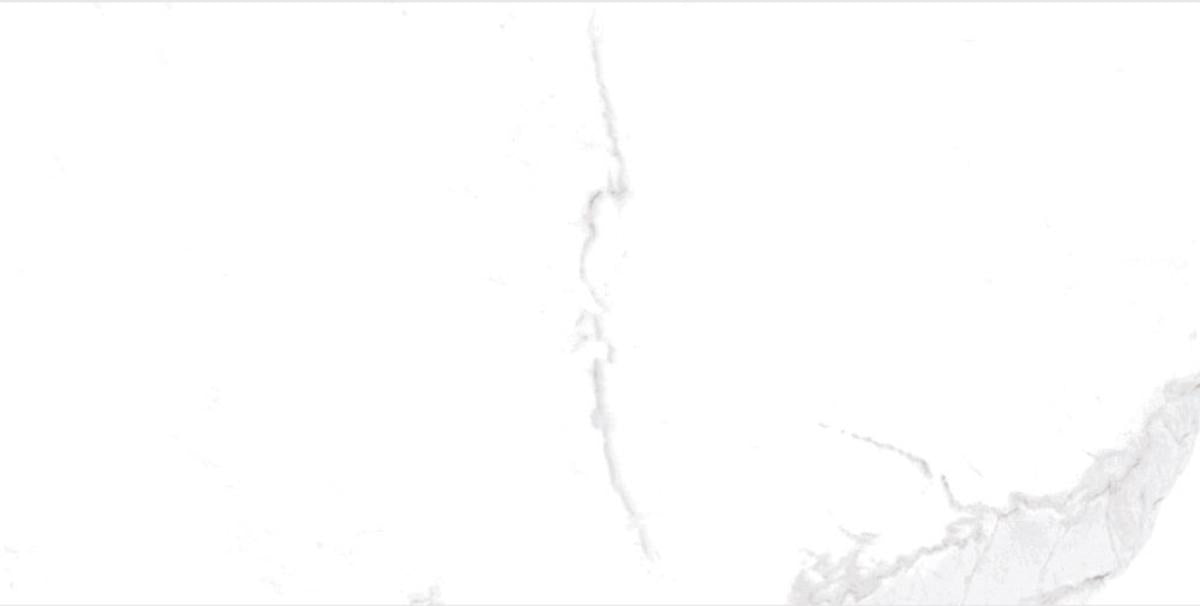 ГРАНИТОГРЕС 60Х120 BIANCO RIVER