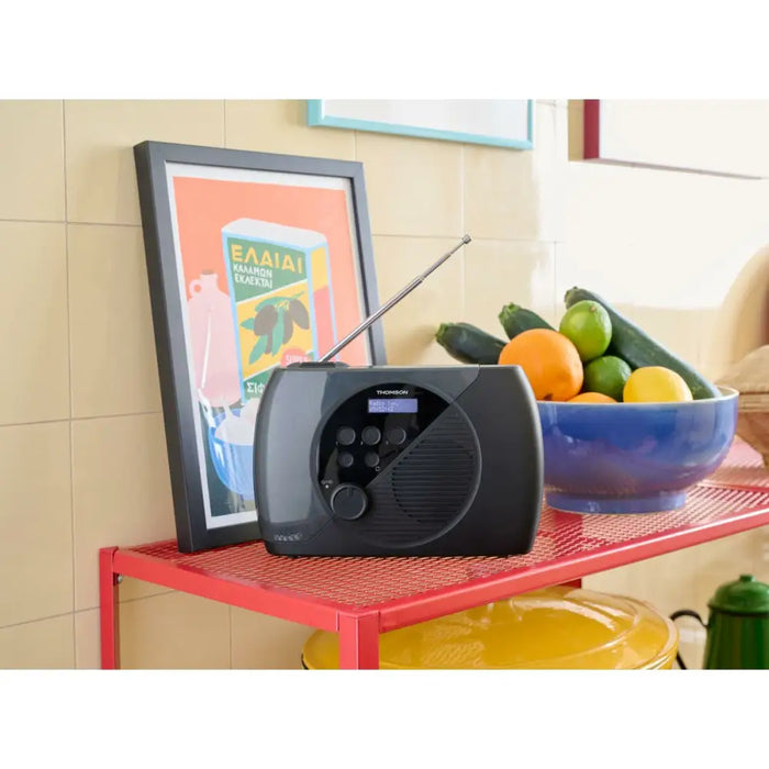 Радио Thomson DAB