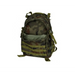 Раница 20L 3-Day Assault Pack - wz.93 Forest Panther