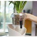 РАСТИТЕЛЕН СУБСТРАТ ORCHIDPON 6L LECHUZA