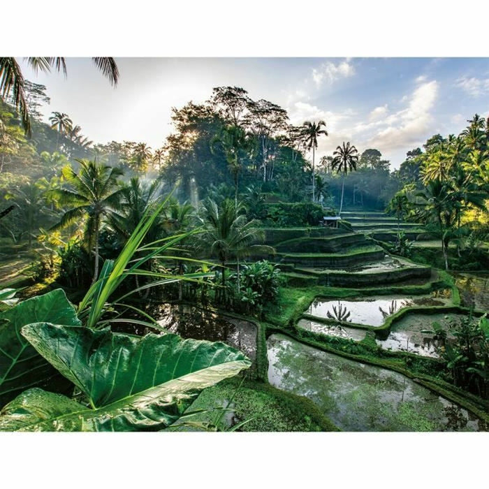 Пъзел Ravensburger Nathan