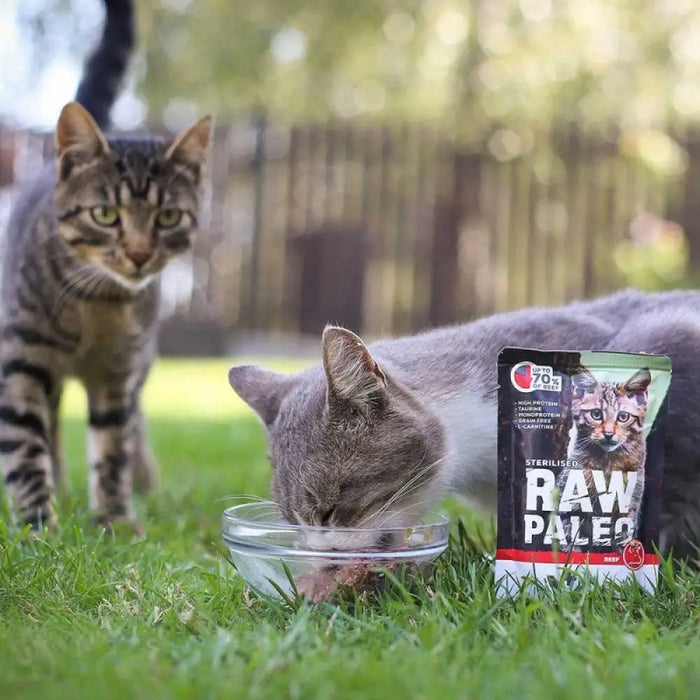 RAW PALEO Adult Cat Sterilised Beef - мокра храна за котки