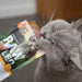 RAW PALEO Adult Cat Sterilised Turkey - мокра котешка храна