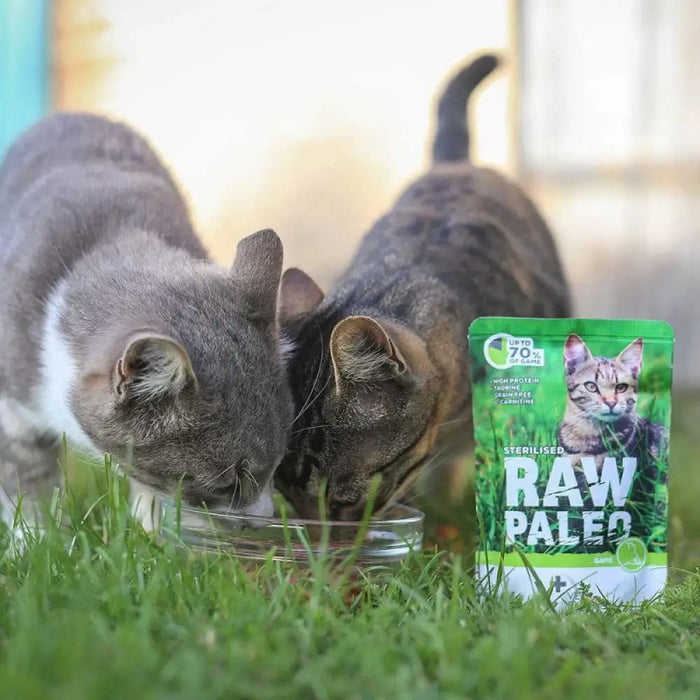 RAW PALEO Adult Cat Sterilized Game - мокра храна за котки