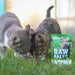RAW PALEO Adult Cat Sterilized Game - мокра храна за котки