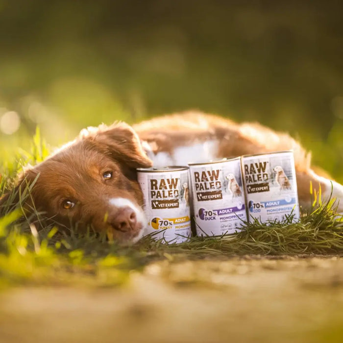 RAW PALEO Adult Monoprotein Duck - мокра храна за кучета