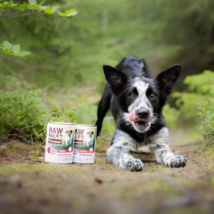 RAW PALEO Puppy Monoprotein Beef - мокра храна за кученца