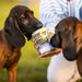 RAW PALEO Puppy Monoprotein Duck - мокра храна за кученца