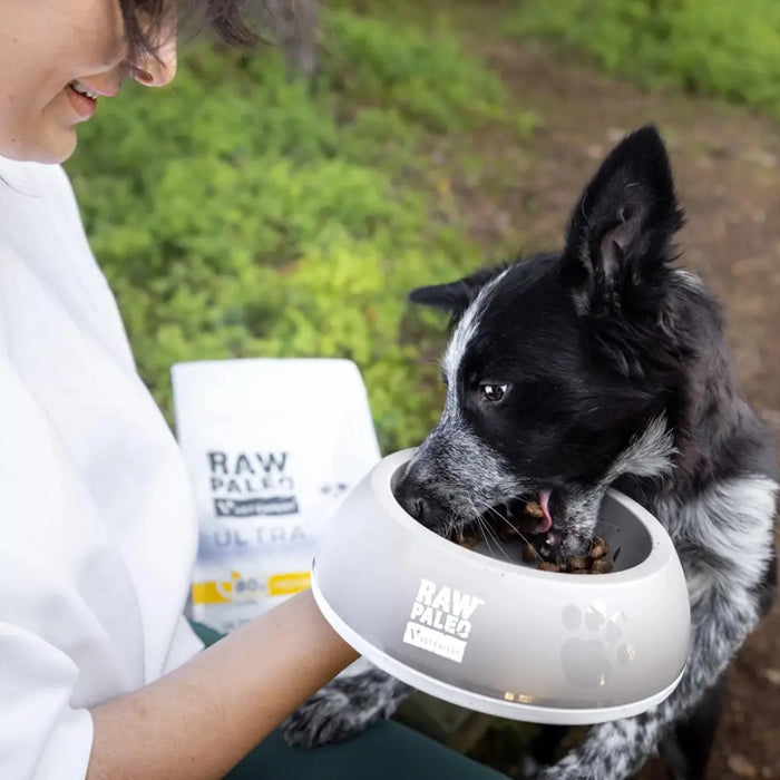 RAW PALEO Ultra Medium&Large Puppy Turkey - суха храна