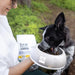 RAW PALEO Ultra Medium&Large Puppy Turkey - суха храна