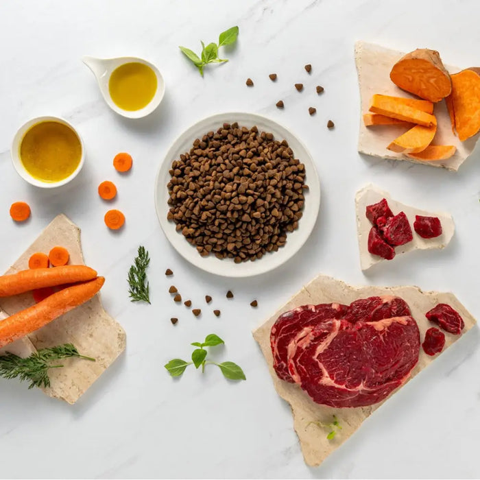 RAW PALEO Ultra Mini Adult Beef - суха храна за кучета