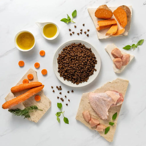 RAW PALEO Ultra Mini Adult Turkey - суха храна за кучета